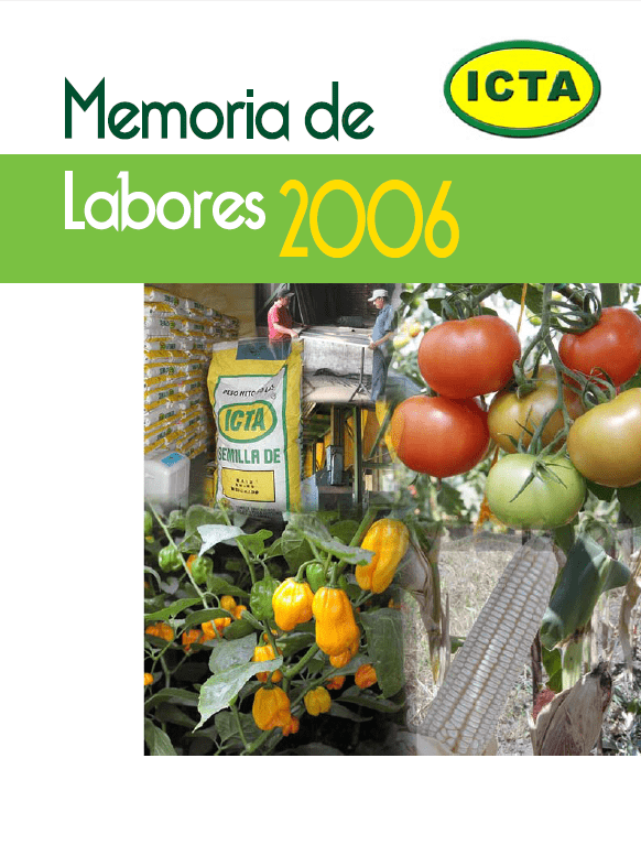 Memoria de Labores ICTA 2006